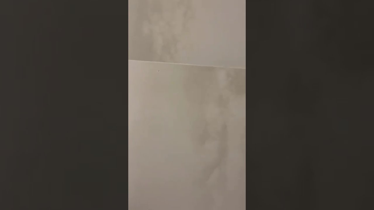 شقة 5B